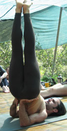 yoga posture